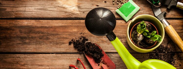 biostymulator roślin ozdobnych