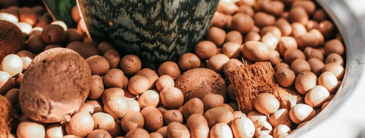 Biostymulatory owoców w nowoczesnym rolnictwie