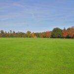 Smith's_Lawn_-_geograph.org.uk_-_304826
