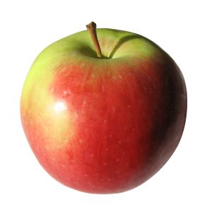 apple-i-893214-m