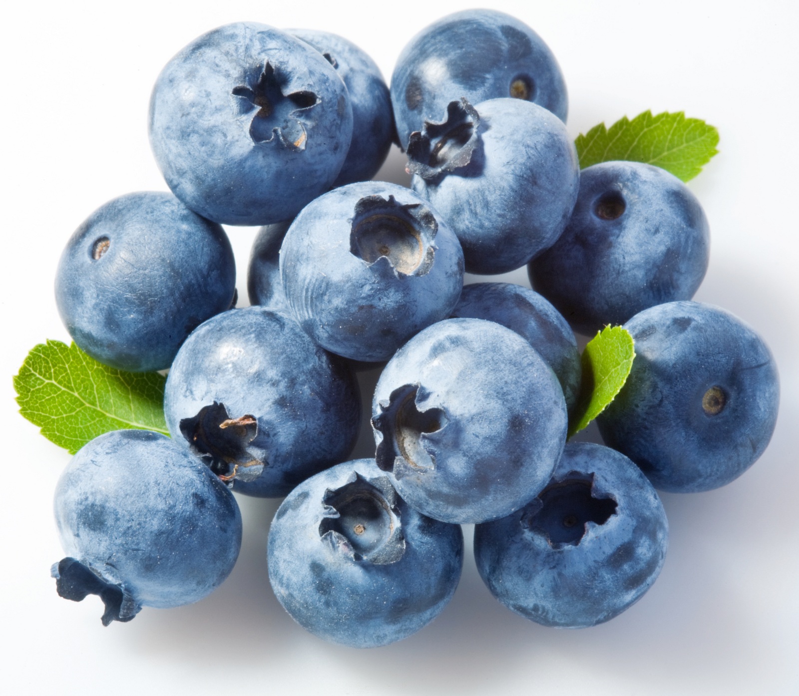 bilberry on a white background